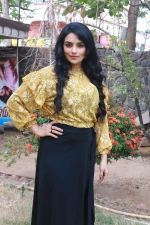 inayathalam-audio-launch-stills-015