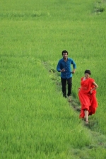 pagiri-movie-shravya-stills-009