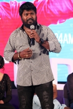 remo-success-meet-stills-029