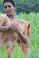 saaya-gayathri-stills-011