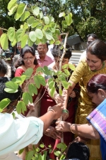 ymca-tree-planting-stills-013