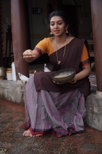 yms-lakshmi-menon-stills-023